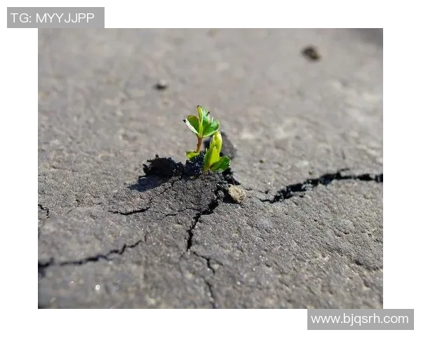 于德豪的奋斗历程与人生哲学探索如何在逆境中绽放光彩